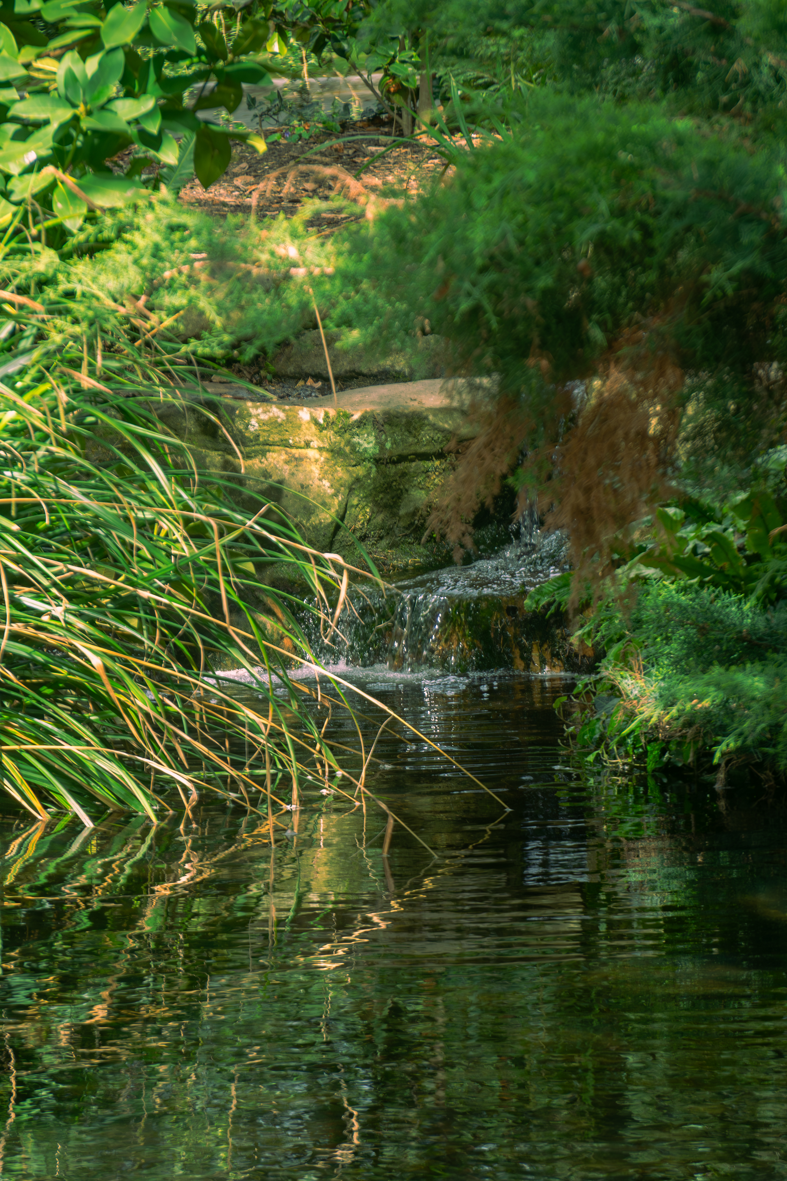 En pleine nature